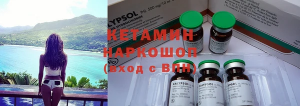 индика Алзамай