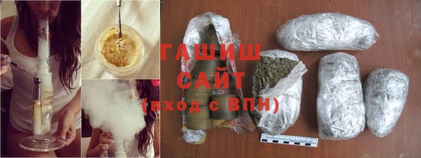 индика Алзамай