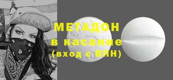 индика Алзамай