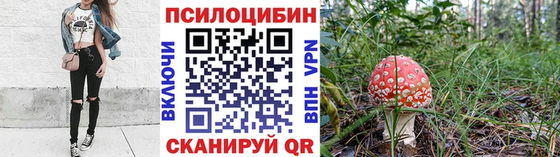 купить  цена  Котово  Псилоцибиновые грибы MAGIC MUSHROOMS 